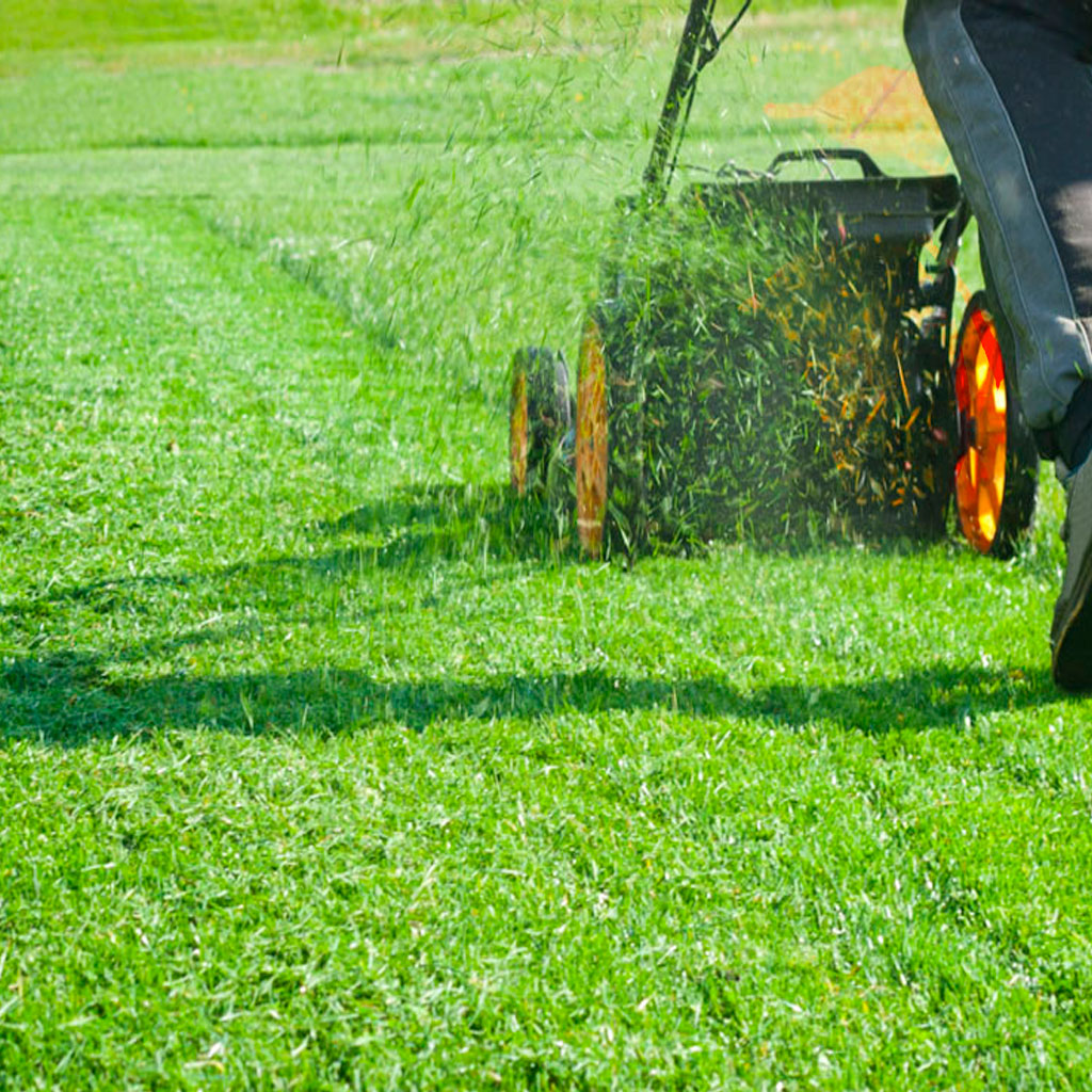 servicios de jardinería en Vilafranca del Penedés