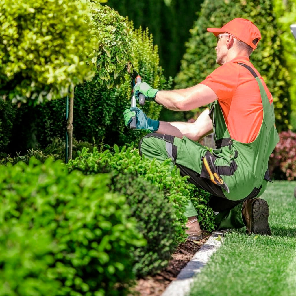 mantenimiento de jardines en Sitges El Centímetro