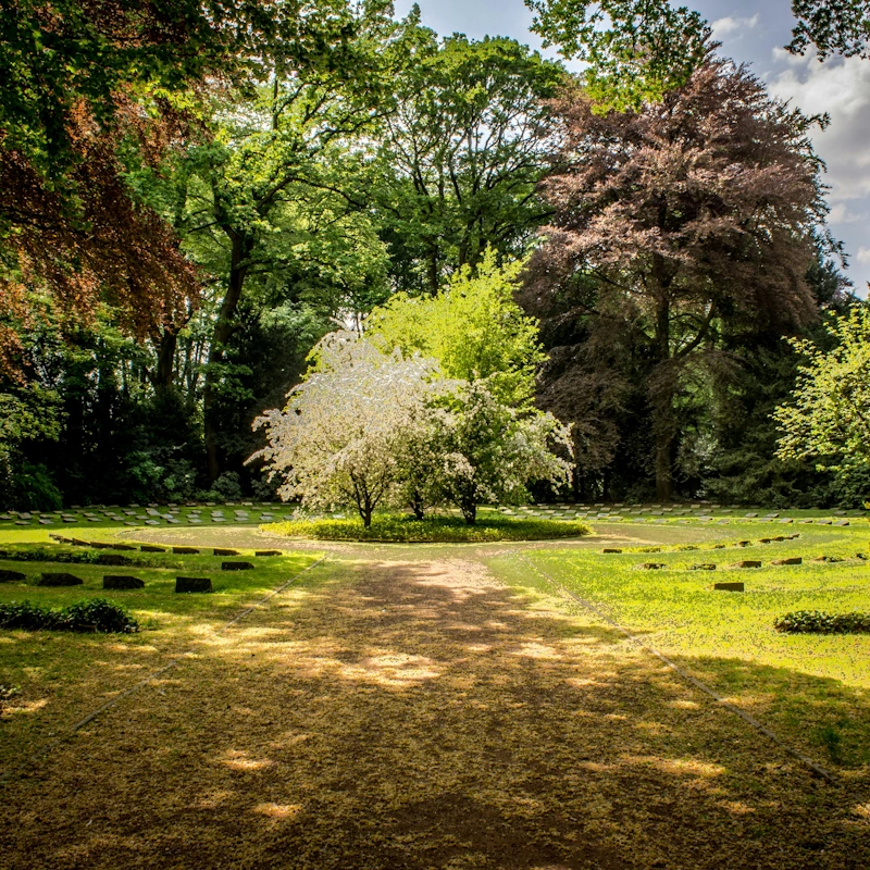 servicios de jardinería en Vilafranca del Penedés